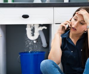 About Emergency plumbing pros Richards, TX